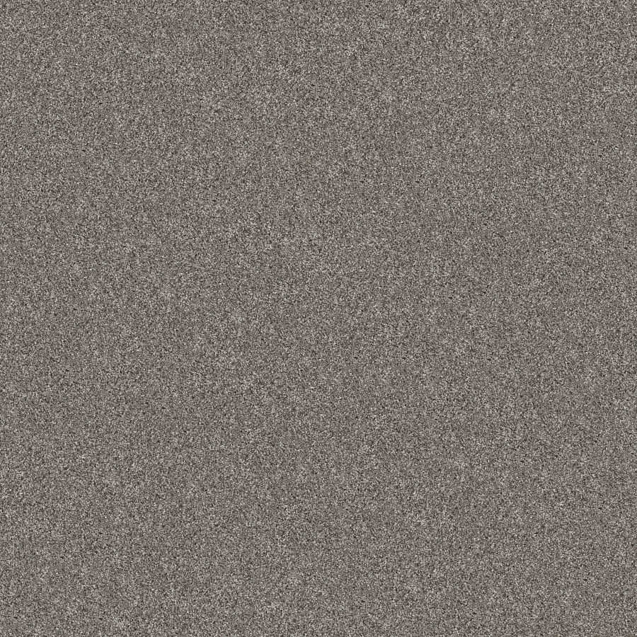 Southern Comfort Vintage carpet, color 00509