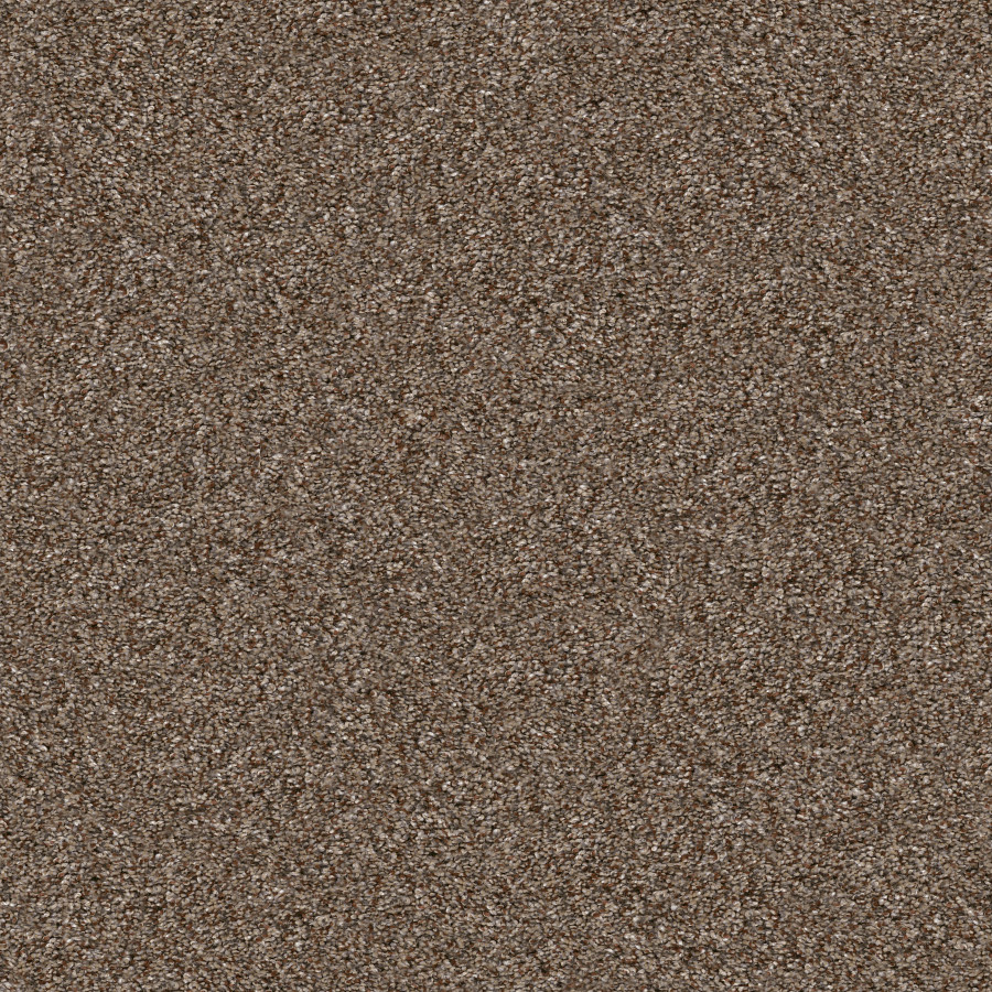 Southern Comfort Worn Path carpet, color 00700